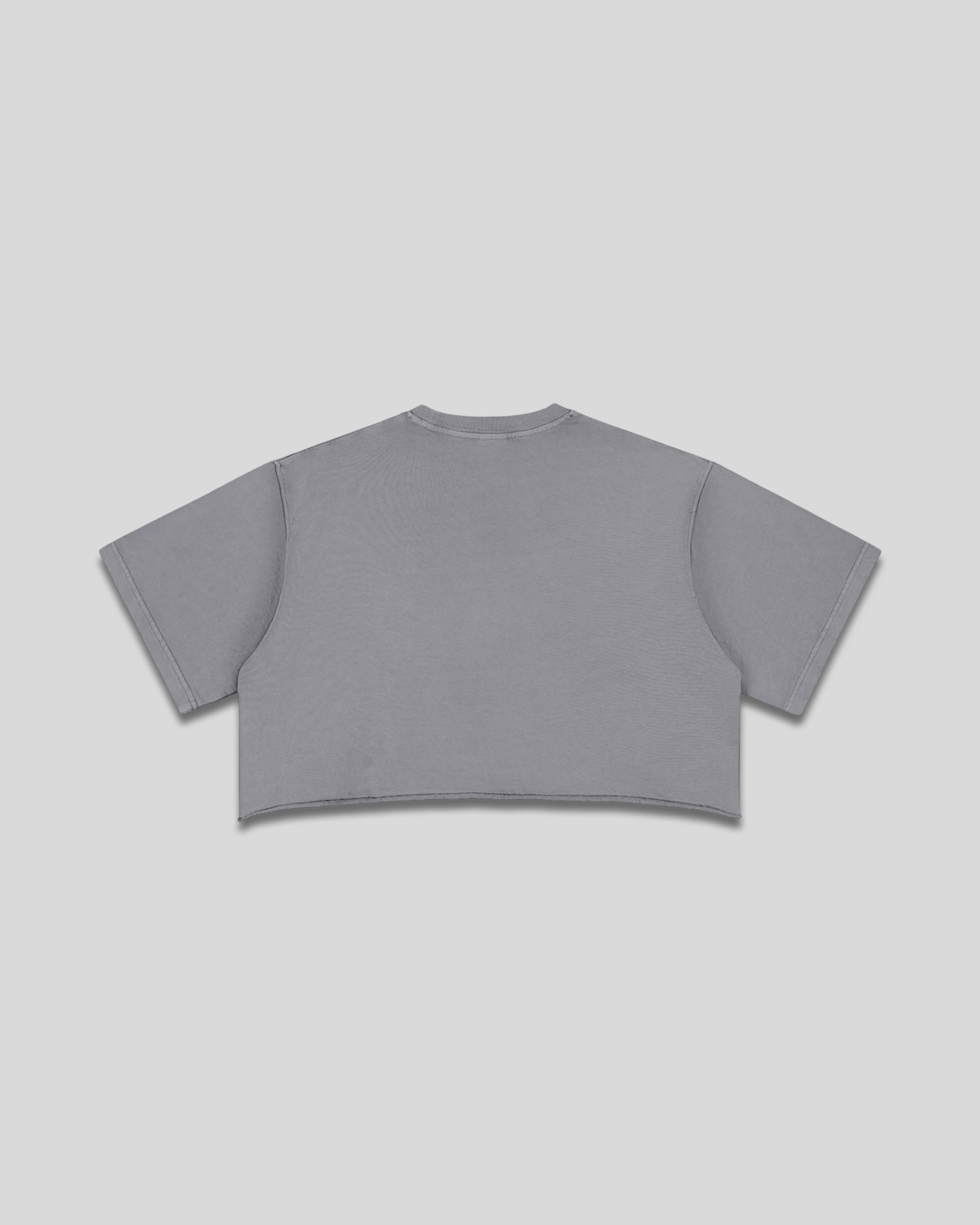 RE:VISION X DEJAVU  Raw Edge Crop Top
