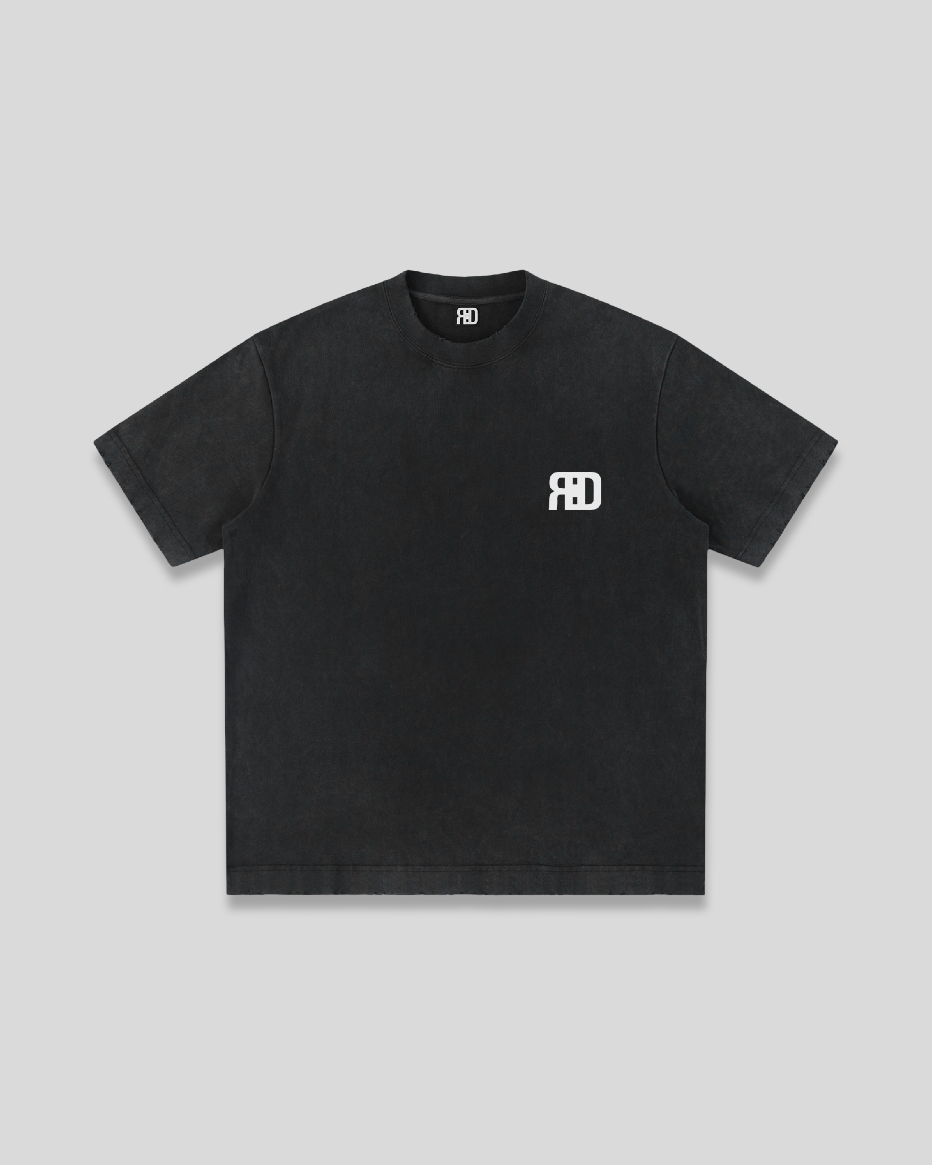 RE:VISION X DEJAVU  Heavyweight Vintag T-Shirt