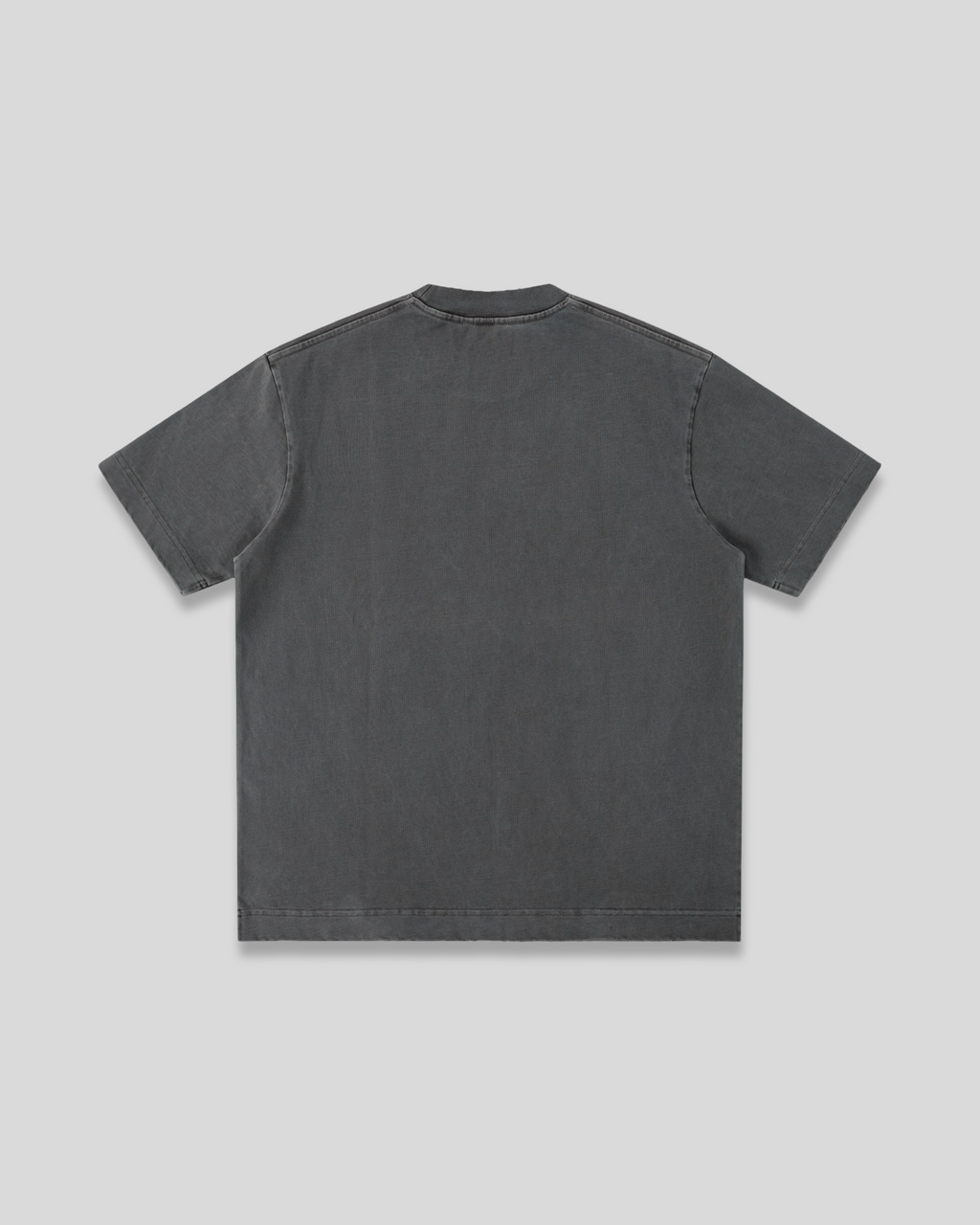 RE:VISION X DEJAVU  Heavyweight Vintag T-Shirt