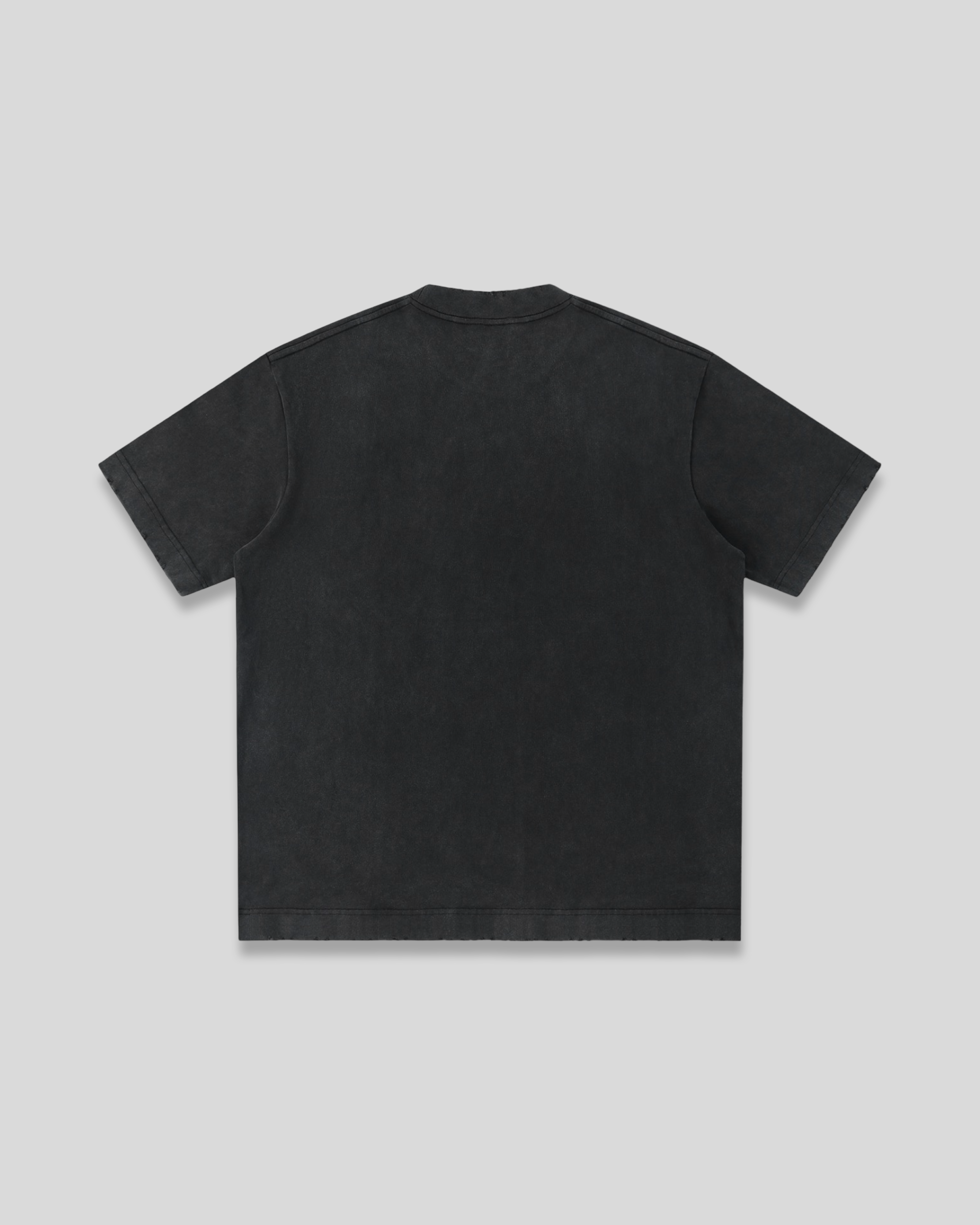 RE:VISION X DEJAVU  Heavyweight Vintag T-Shirt