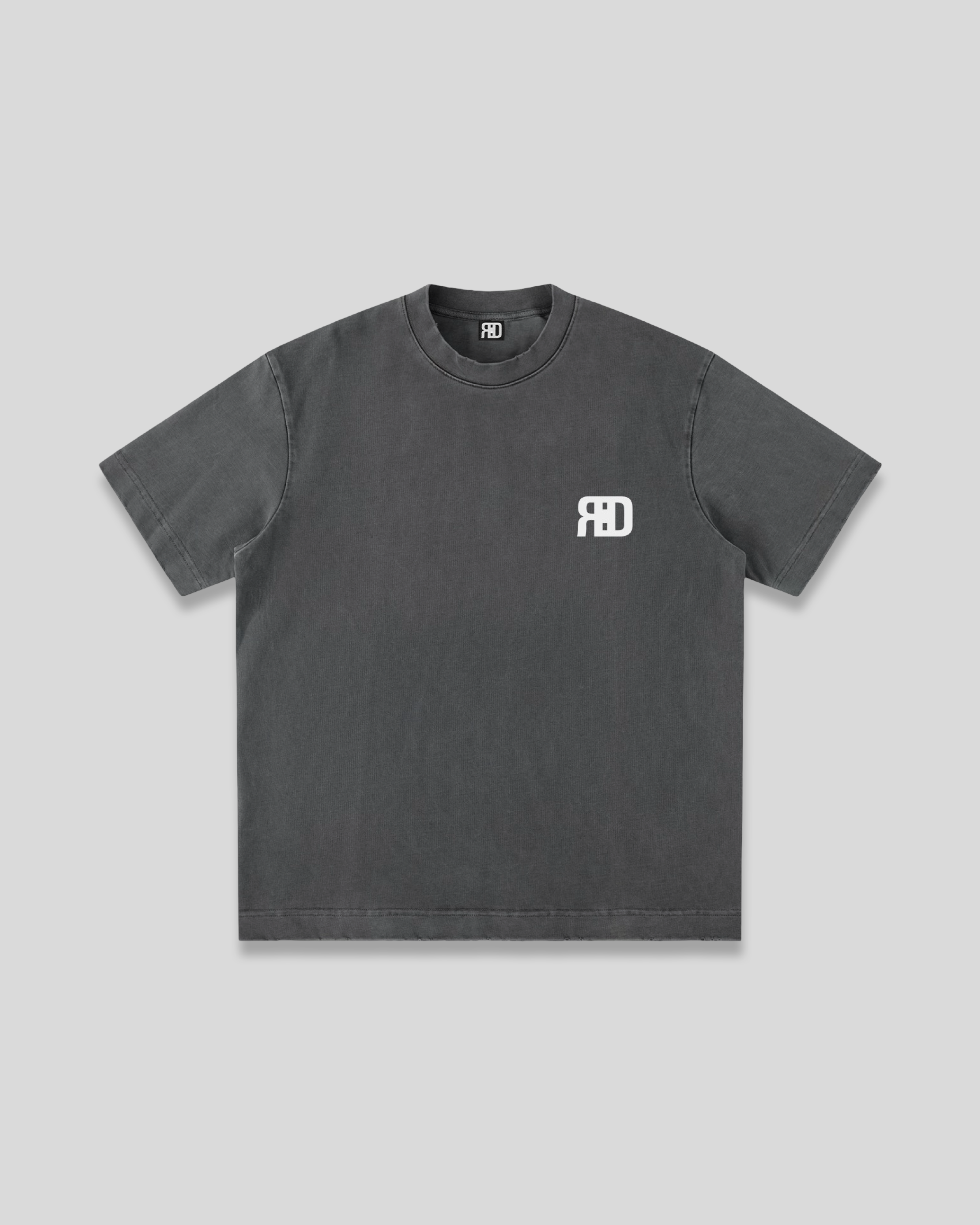 RE:VISION X DEJAVU  Heavyweight Vintag T-Shirt