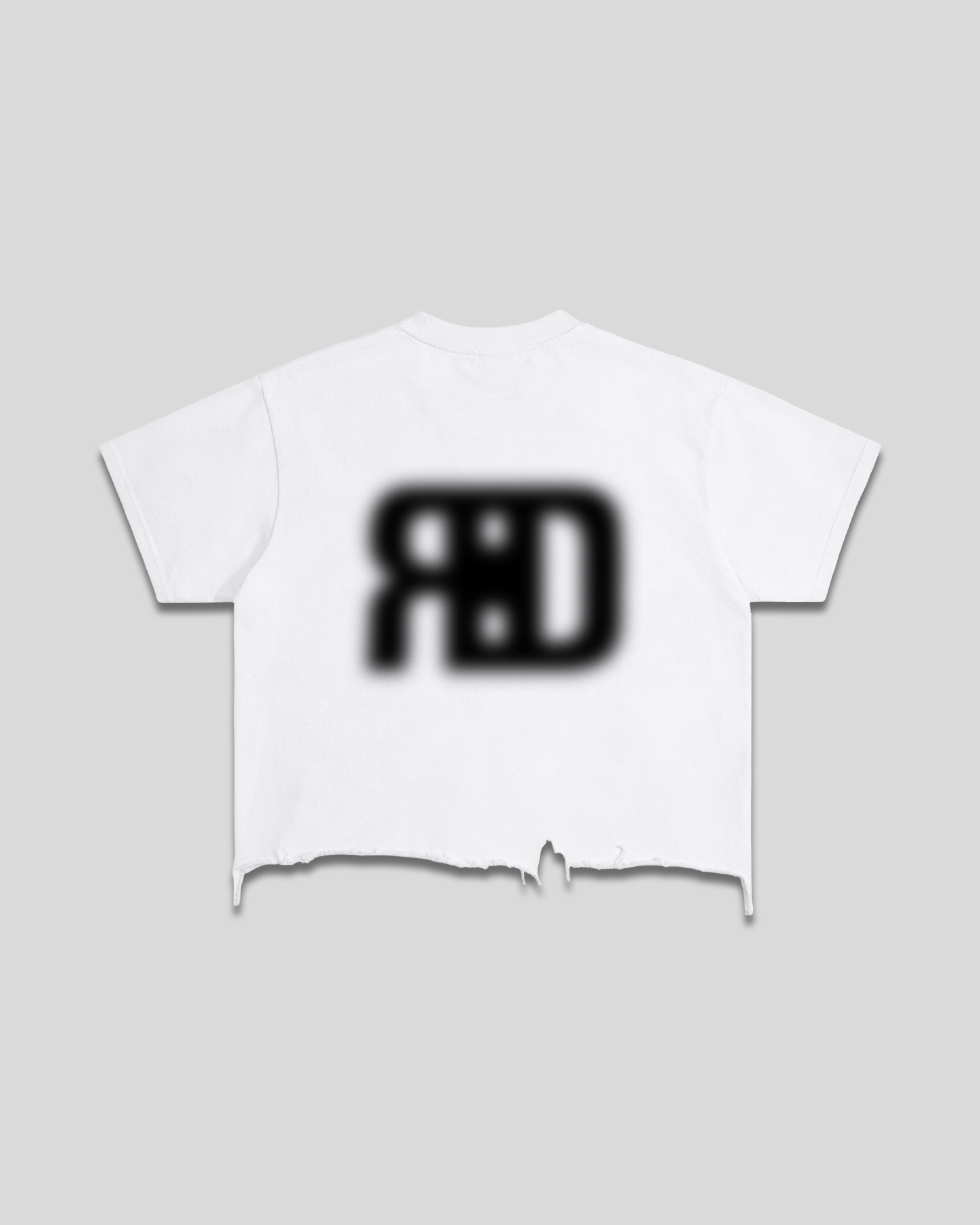 RE:VISION X DEJAVU  Vintage Wash Boxy Distressed T-Shirt