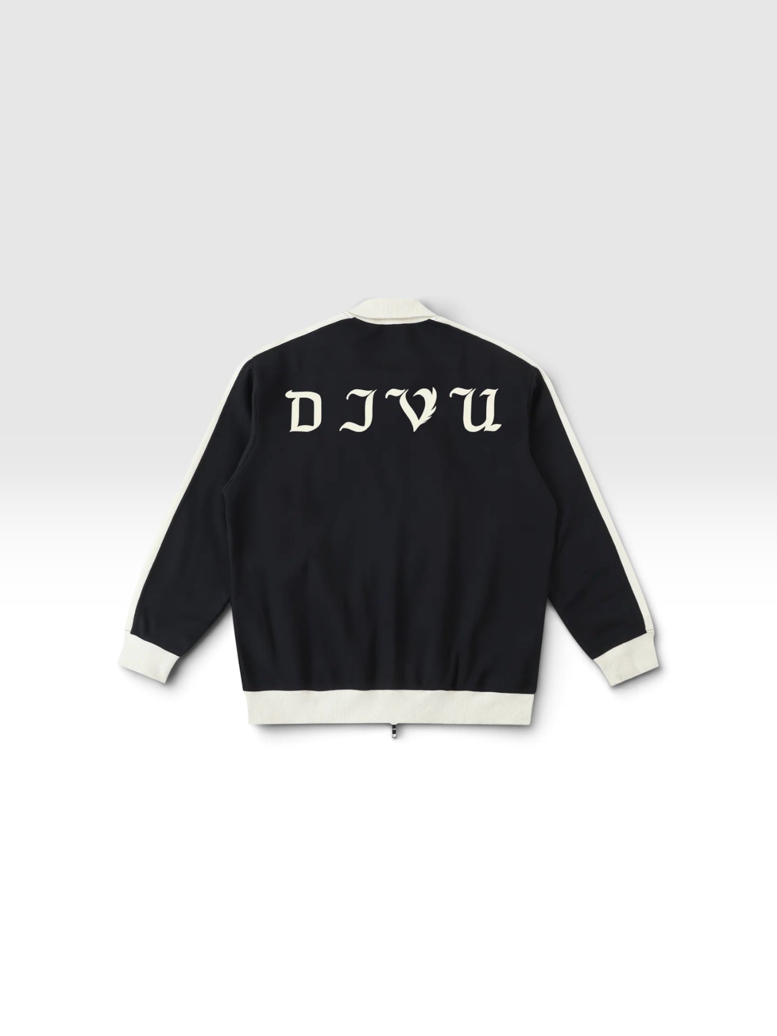 DEJAVU AESTHETIC ZIP JACKET