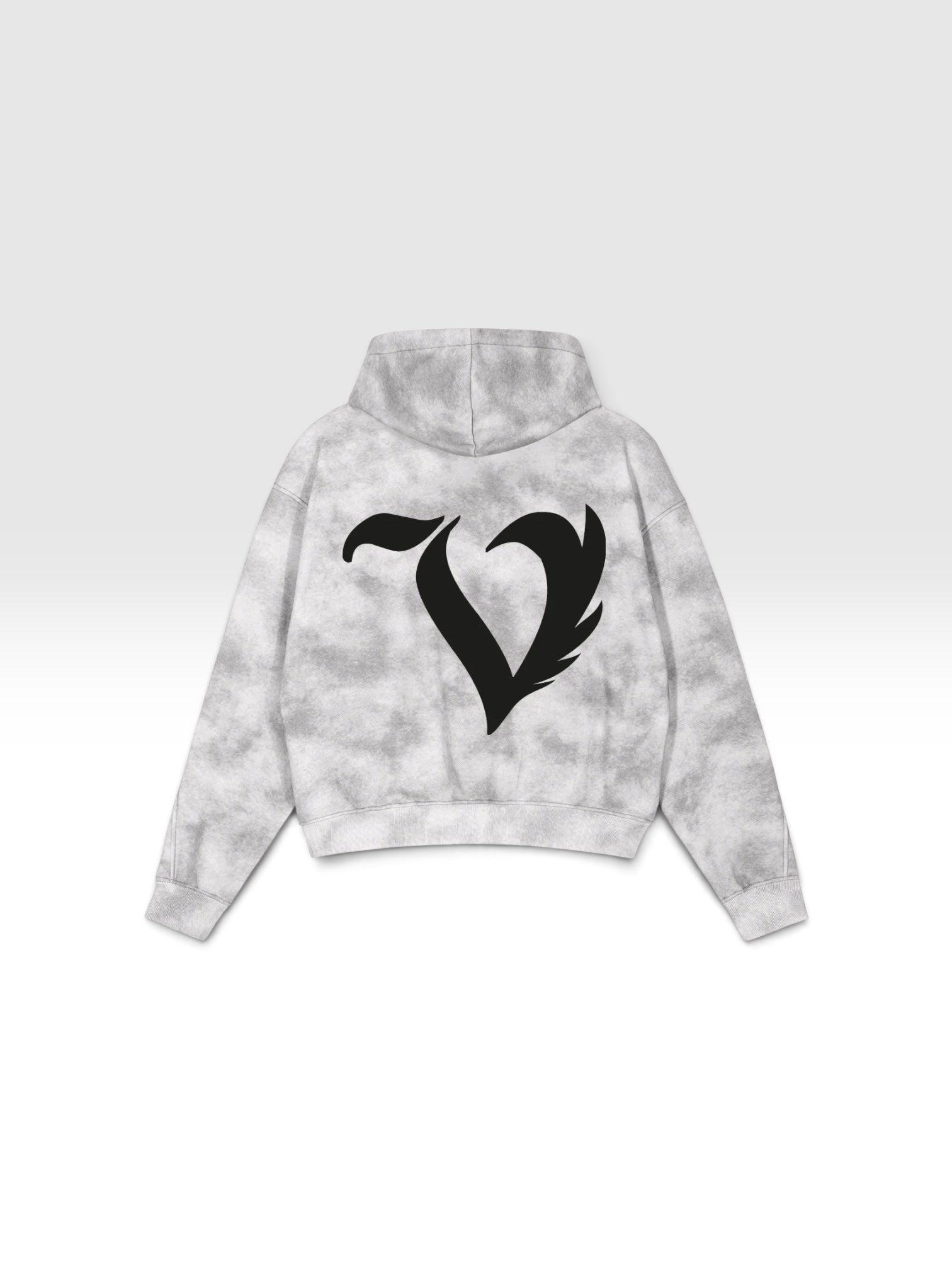 DEJAVU WASHED HOODIE