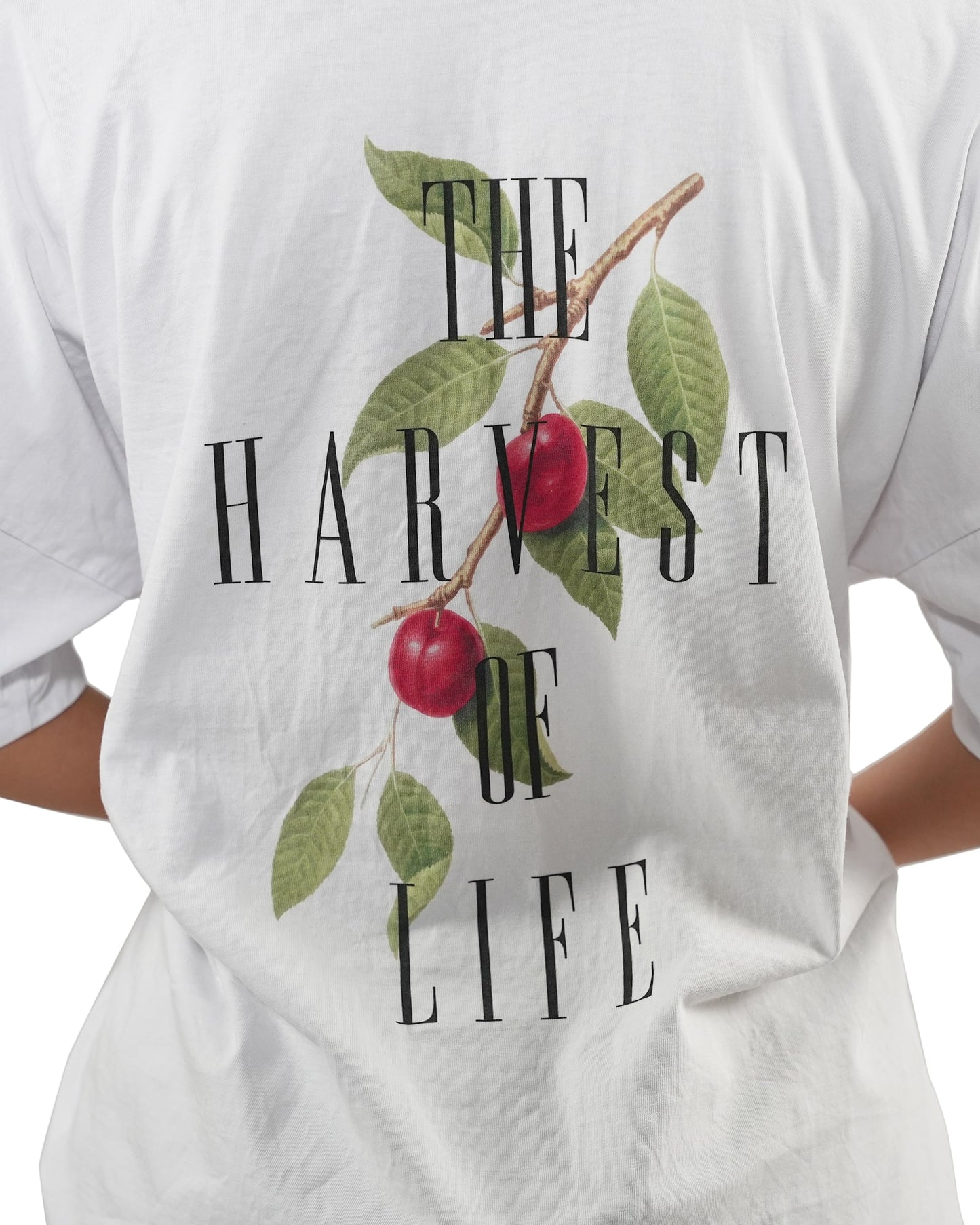 DEJAVU LIFE OF HARVEST TEE WHITE