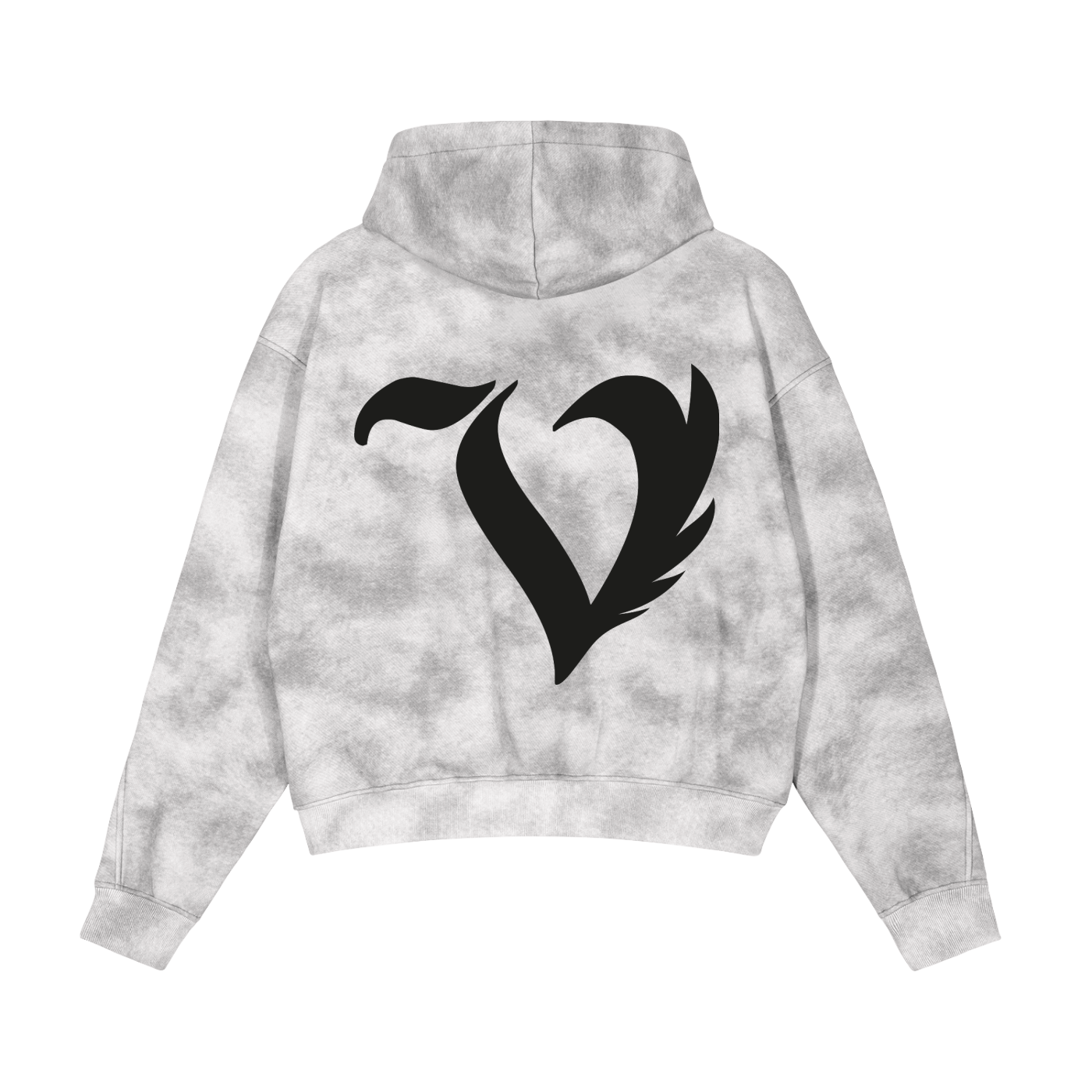 DEJAVU WASHED HOODIE